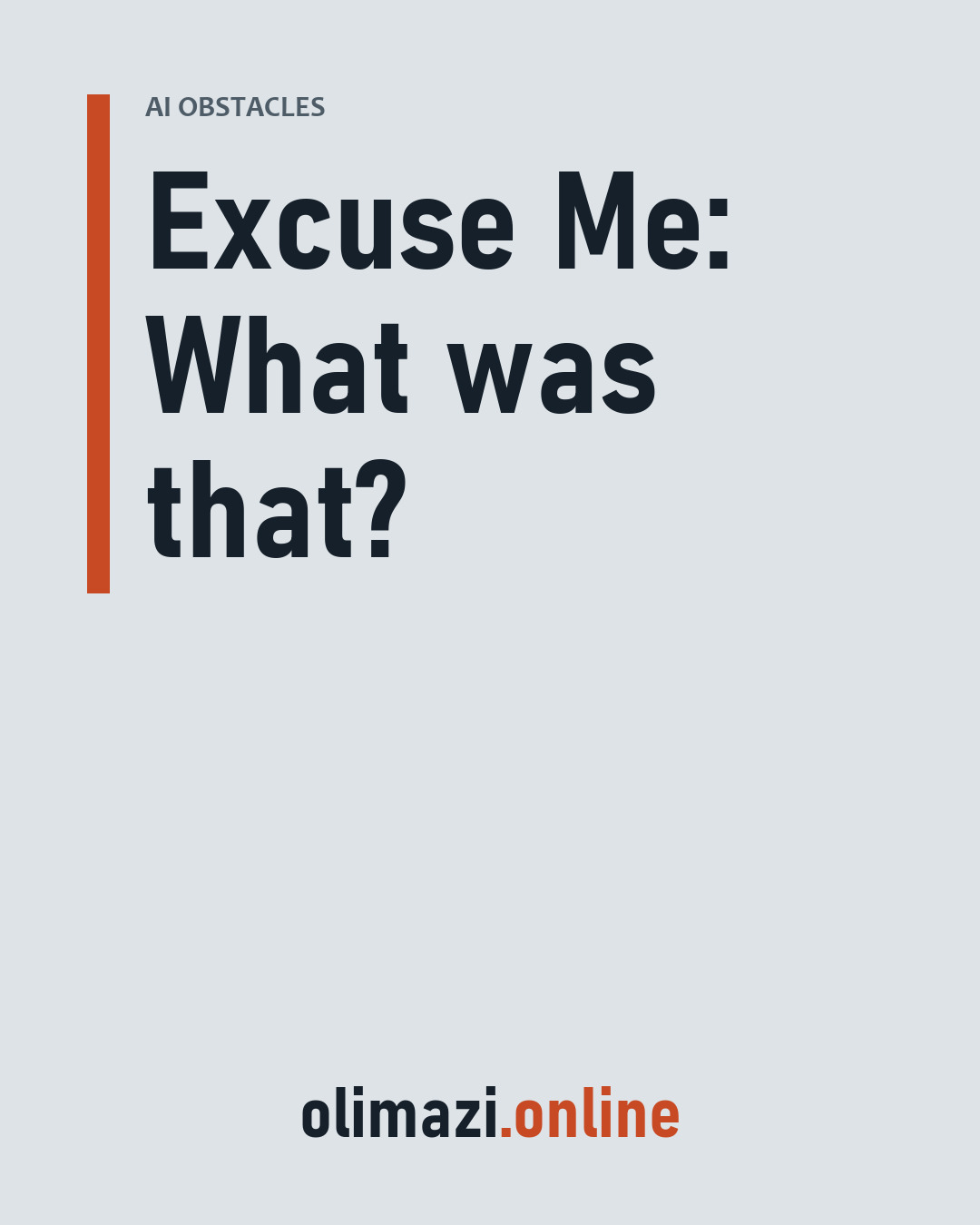 Excuse Me: What was that?